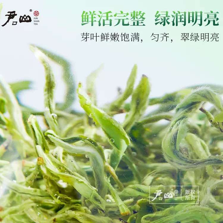 [君山牌] 2023明前新茶湖南特産君山毛尖禮盒裝春茶送禮茶葉綠茶250g盒