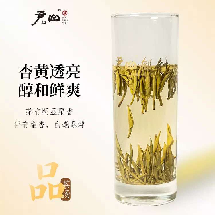 湖南特産嶽陽君山島茶葉君山銀針555明前新茶黃茶禮盒裝100g