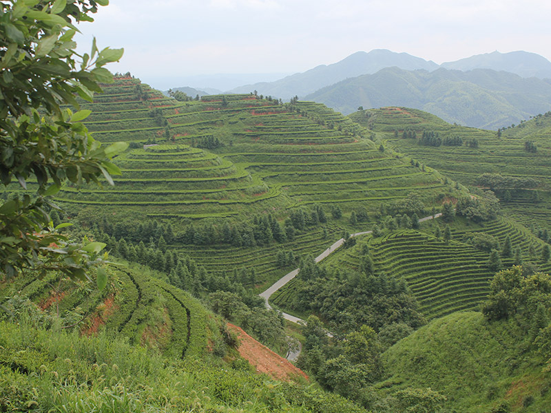 沅陵會(huì)同示範基地