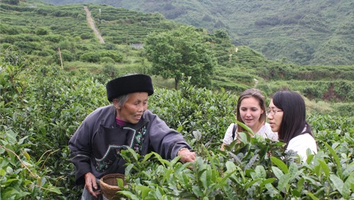 湖南省茶業集團股份有限公司産教融合校企合作三年規劃（2022-2024年）