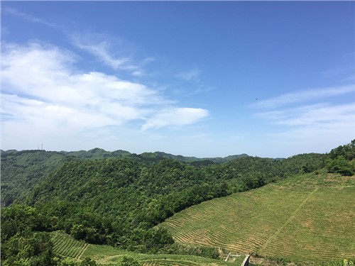 張家界天子山示範基地